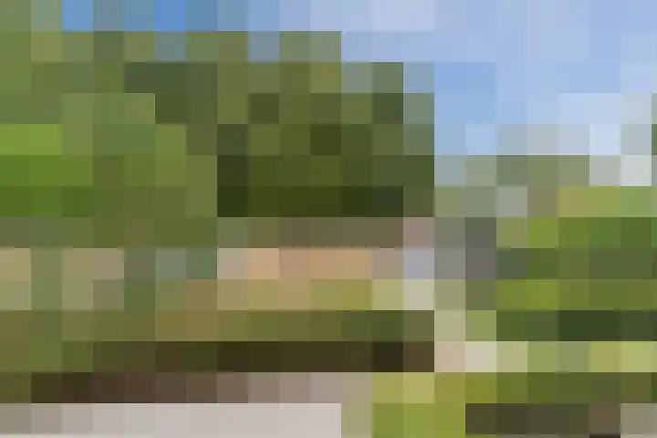 Volmolenplein 2 A Geldrop thumbnail 4