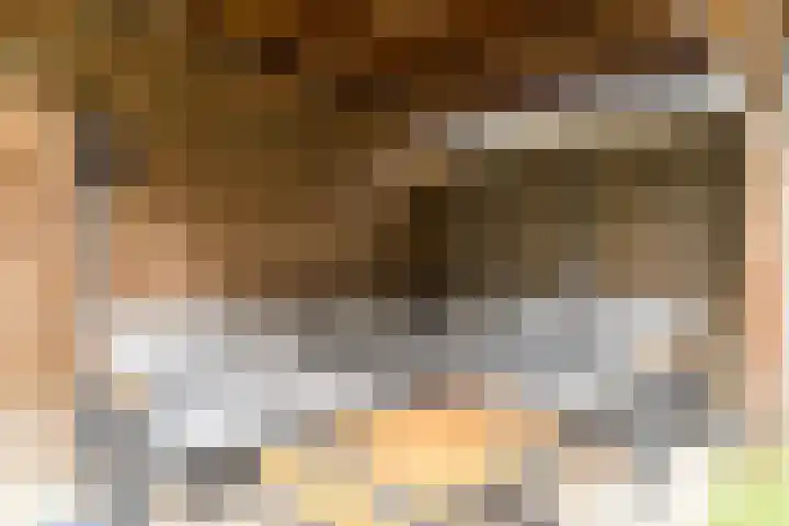 Volmolenplein 2 A Geldrop thumbnail 46