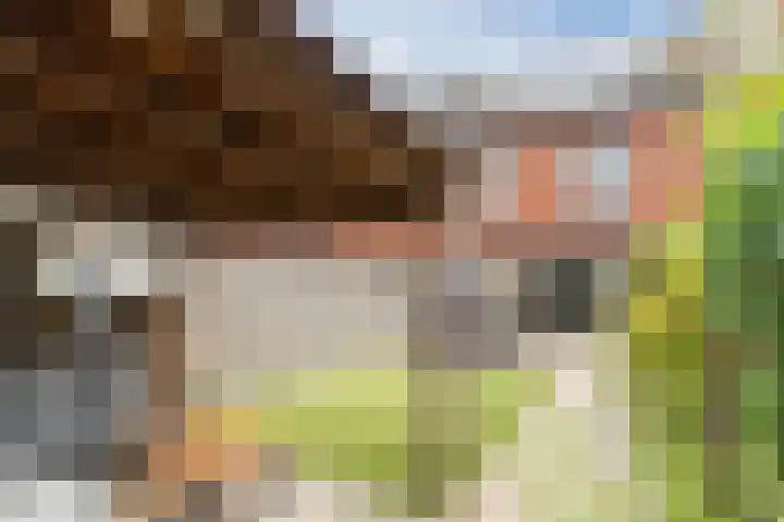 Volmolenplein 2 A Geldrop thumbnail 48