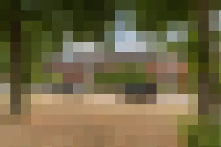 Volmolenplein 2 A Geldrop thumbnail 5