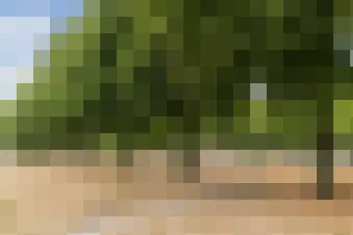 Volmolenplein 2 A Geldrop thumbnail 55