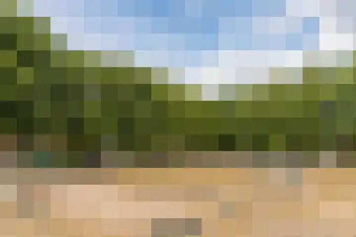 Volmolenplein 2 A Geldrop thumbnail 57