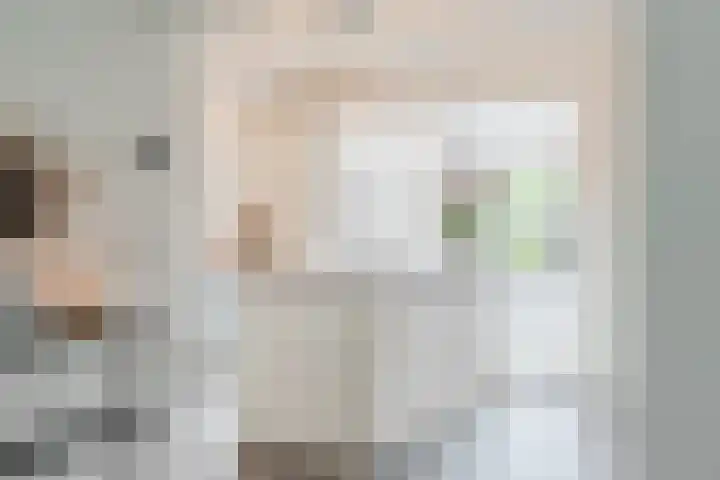 Volmolenplein 26 Geldrop thumbnail 11
