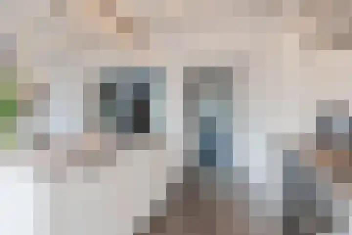 Volmolenplein 26 Geldrop thumbnail 13