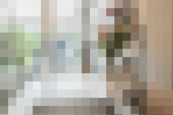 Volmolenplein 26 Geldrop thumbnail 16