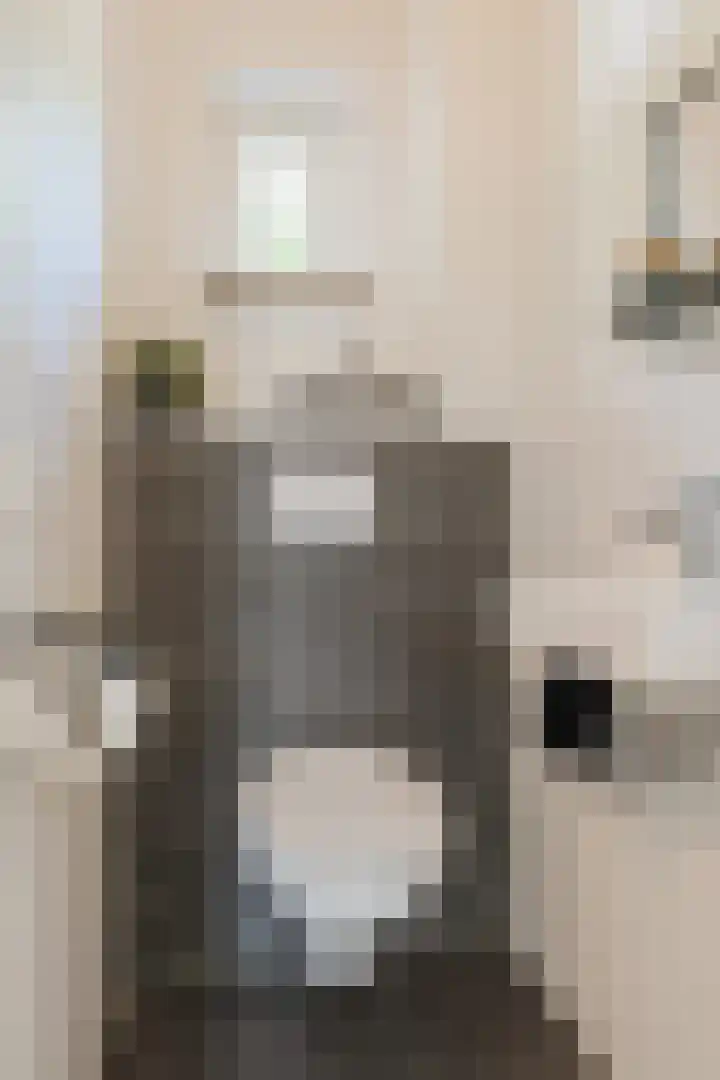 Volmolenplein 26 Geldrop thumbnail 17