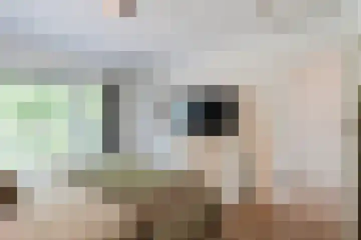 Volmolenplein 26 Geldrop thumbnail 21