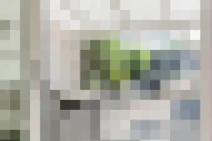 Volmolenplein 26 Geldrop thumbnail 27
