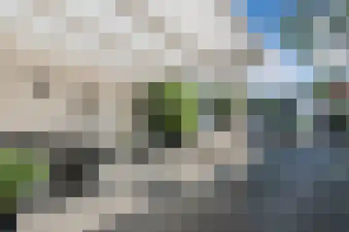 Volmolenplein 26 Geldrop thumbnail 29
