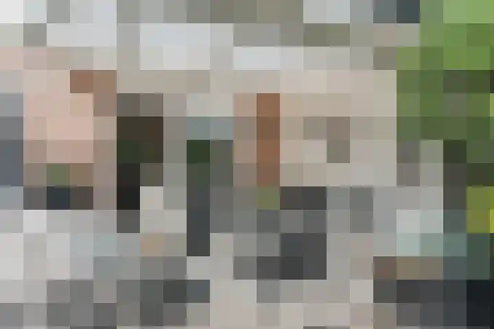 Volmolenplein 26 Geldrop thumbnail 30