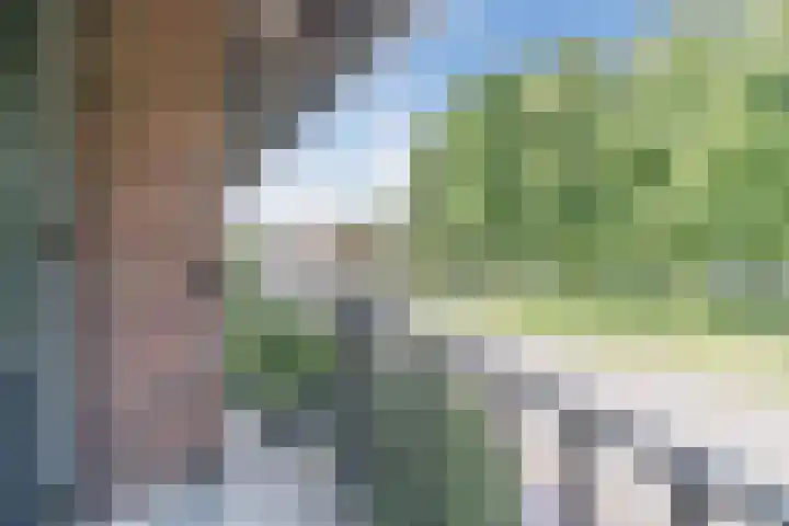 Volmolenplein 26 Geldrop thumbnail 33