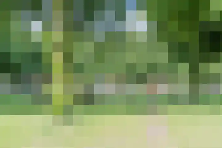 Volmolenplein 26 Geldrop thumbnail 37
