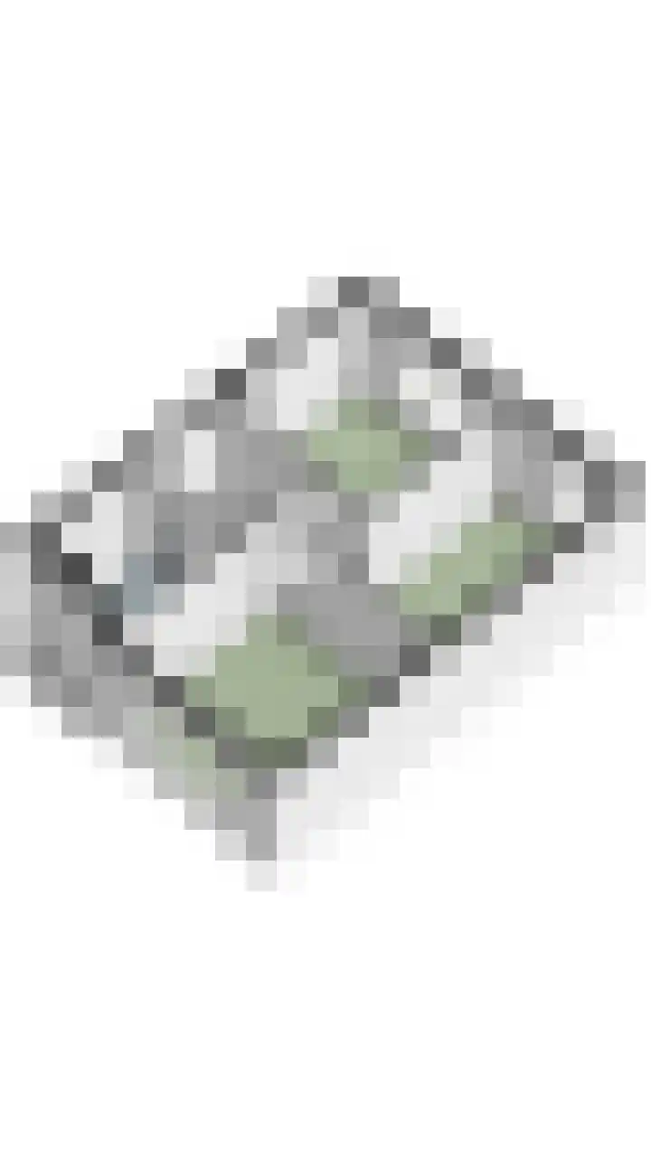Volmolenplein 26 Geldrop thumbnail 44