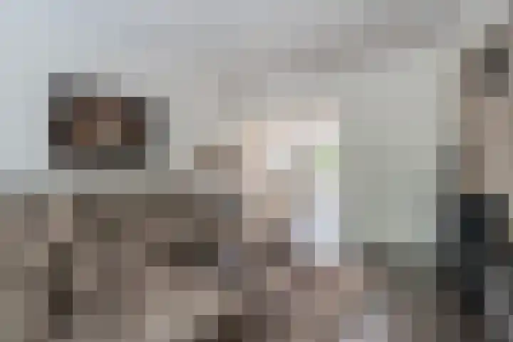 Volmolenplein 26 Geldrop thumbnail 7