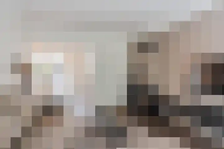 Volmolenplein 26 Geldrop thumbnail 8