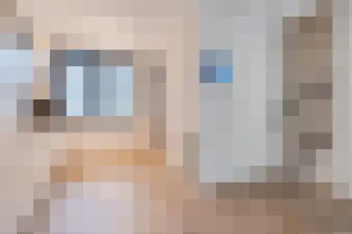 Volmolenplein 6 A Geldrop thumbnail 16