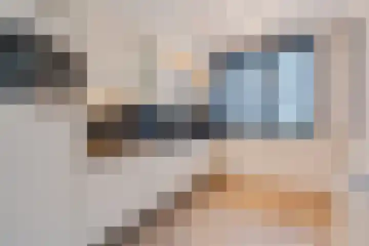 Volmolenplein 6 A Geldrop thumbnail 17
