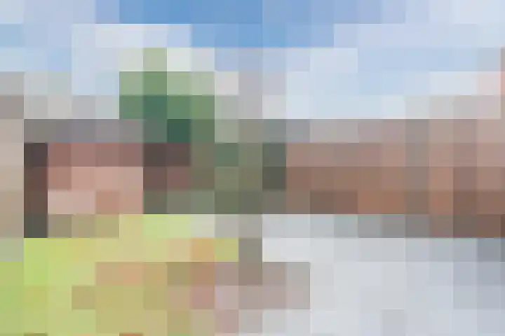 Volmolenplein 6 A Geldrop thumbnail 32