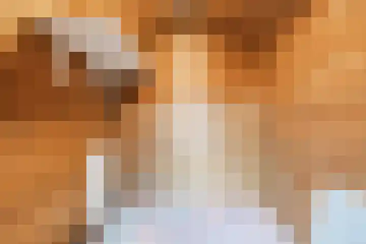 Volmolenplein 6 A Geldrop thumbnail 34