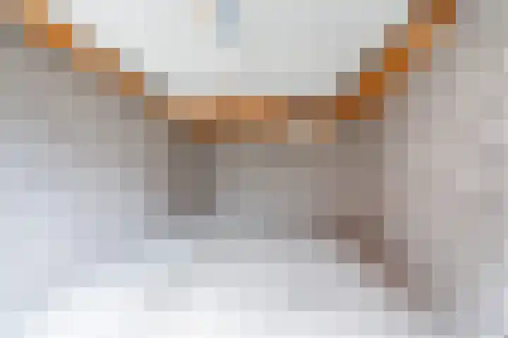 Volmolenplein 6 A Geldrop thumbnail 35