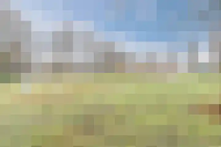 Volmolenplein 6 A Geldrop thumbnail 36