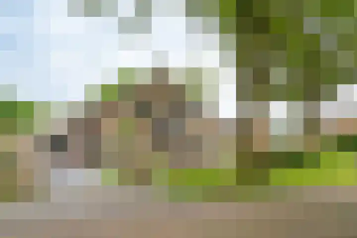 Volmolenstraat 10 Aalden thumbnail 13