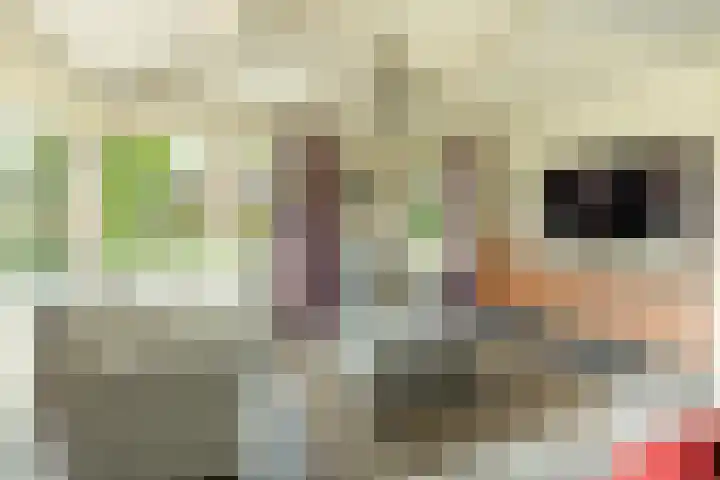 Volmolenstraat 10 Aalden thumbnail 21