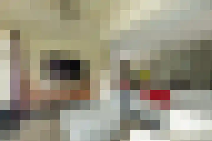 Volmolenstraat 10 Aalden thumbnail 22
