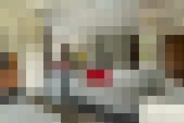 Volmolenstraat 10 Aalden thumbnail 23