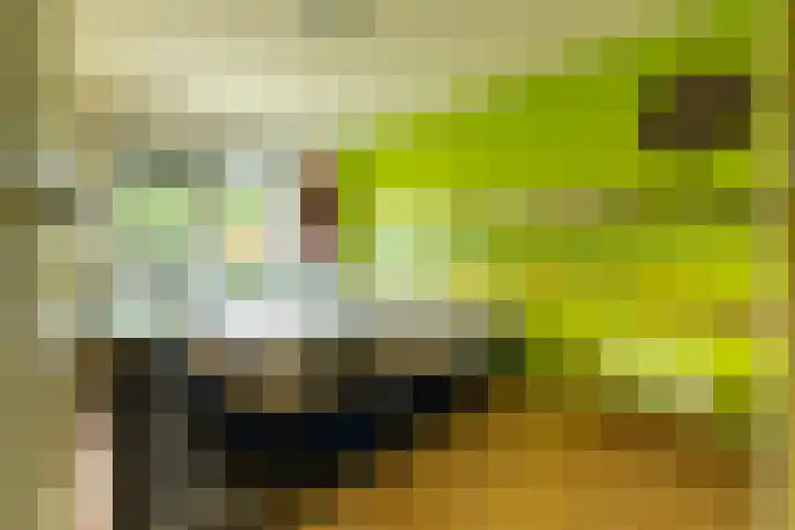 Volmolenstraat 10 Aalden thumbnail 33