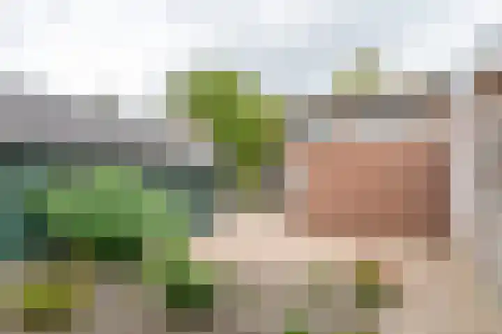 Volmolenstraat 37 Aalden thumbnail 32