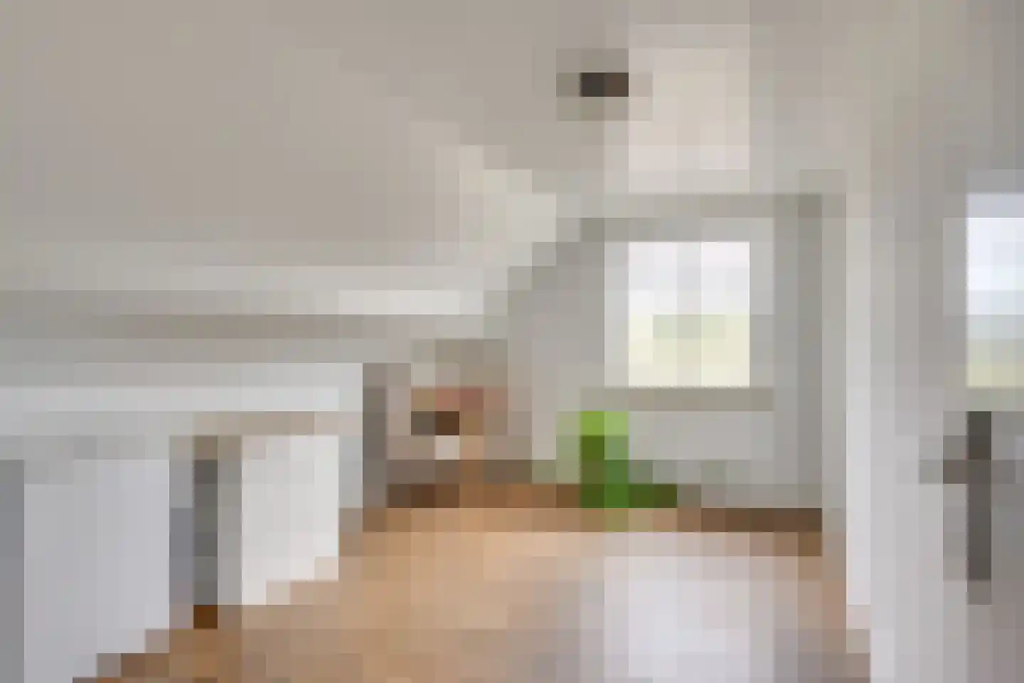 Volmolenweg 17 Veldhoven thumbnail 19