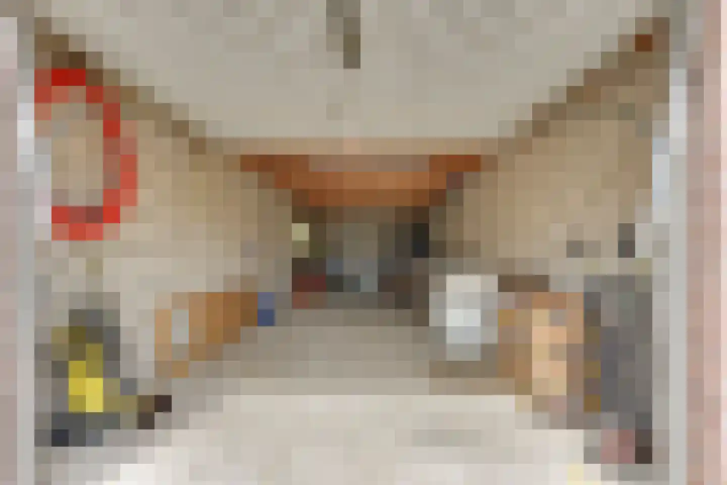 Volmolenweg 17 Veldhoven thumbnail 26