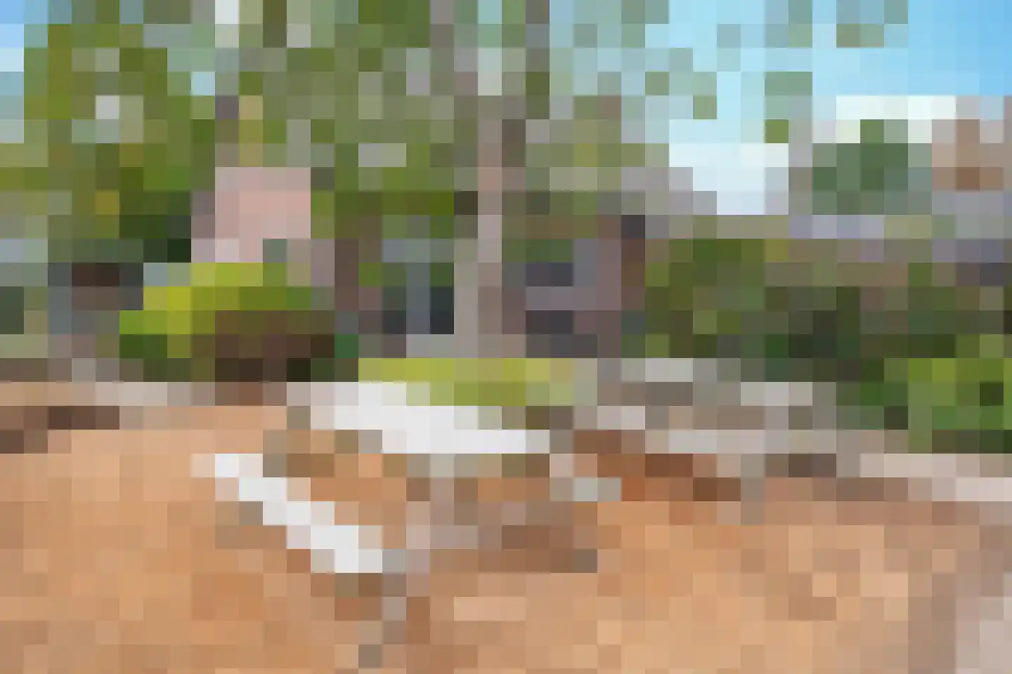 Volmolenweg 17 Veldhoven thumbnail 4