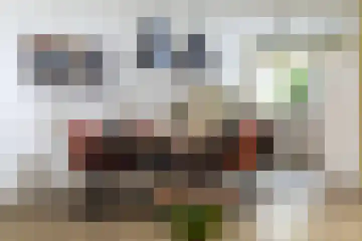 Volmolenweg 37 Eerbeek thumbnail 10