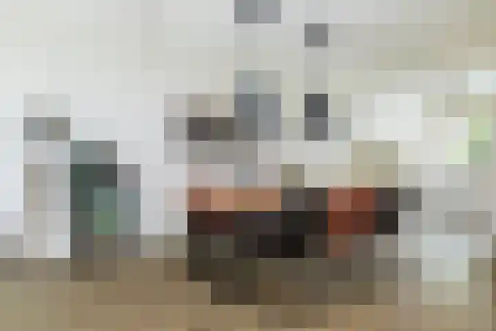 Volmolenweg 37 Eerbeek thumbnail 11
