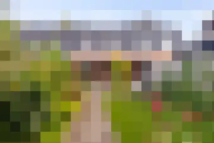 Volmolenweg 37 Eerbeek thumbnail 24