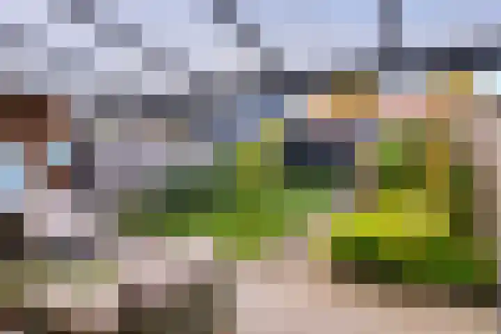 Volmolenweg 37 Eerbeek thumbnail 25