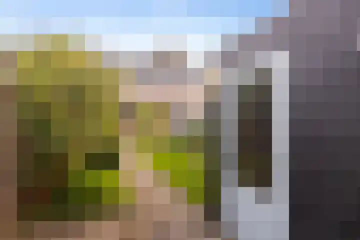 Volmolenweg 37 Eerbeek thumbnail 26