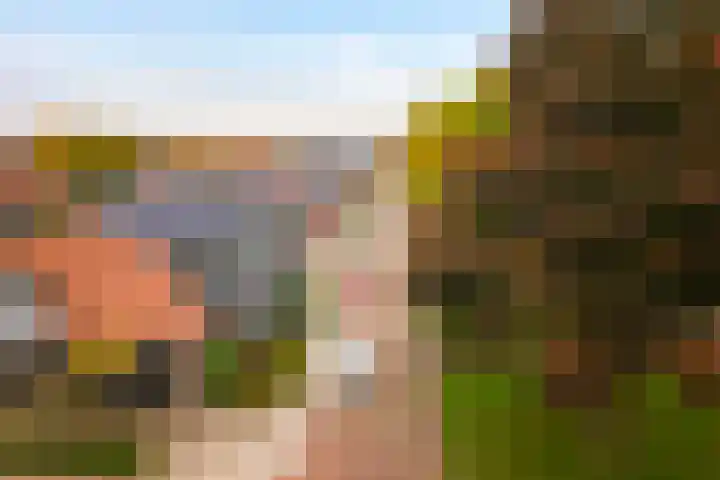 Volmolenweg 37 Eerbeek thumbnail 29