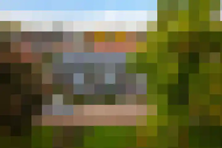 Volmolenweg 37 Eerbeek thumbnail 30