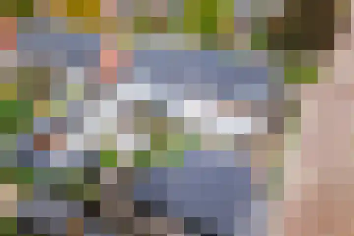 Volmolenweg 37 Eerbeek thumbnail 31