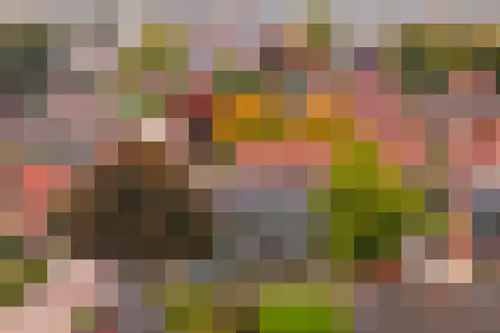 Volmolenweg 37 Eerbeek thumbnail 32