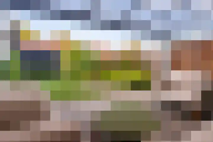 Volmolenweg 37 Eerbeek thumbnail 5