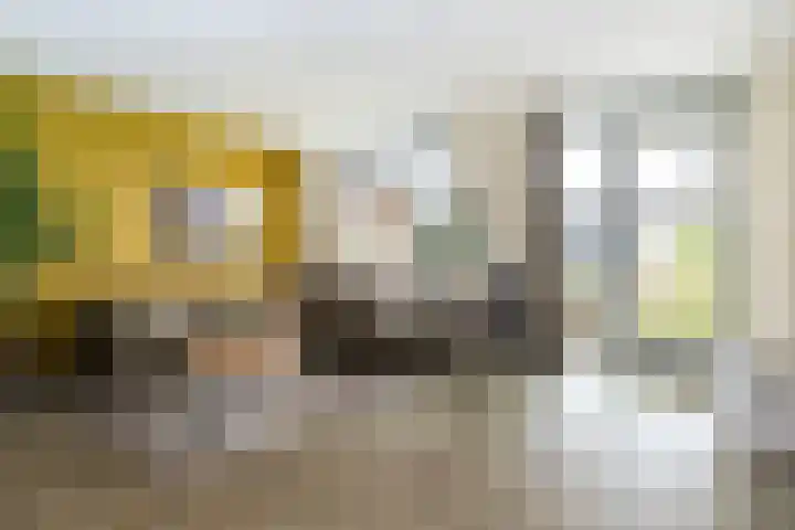 Volmolenweg 37 Eerbeek thumbnail 8
