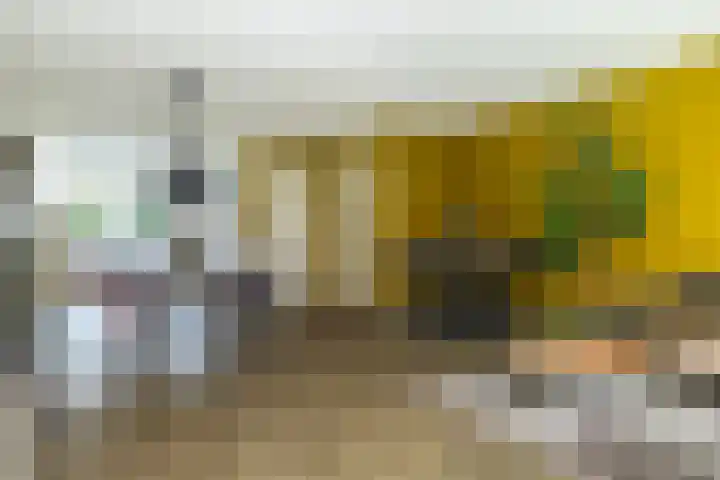 Volmolenweg 37 Eerbeek thumbnail 9