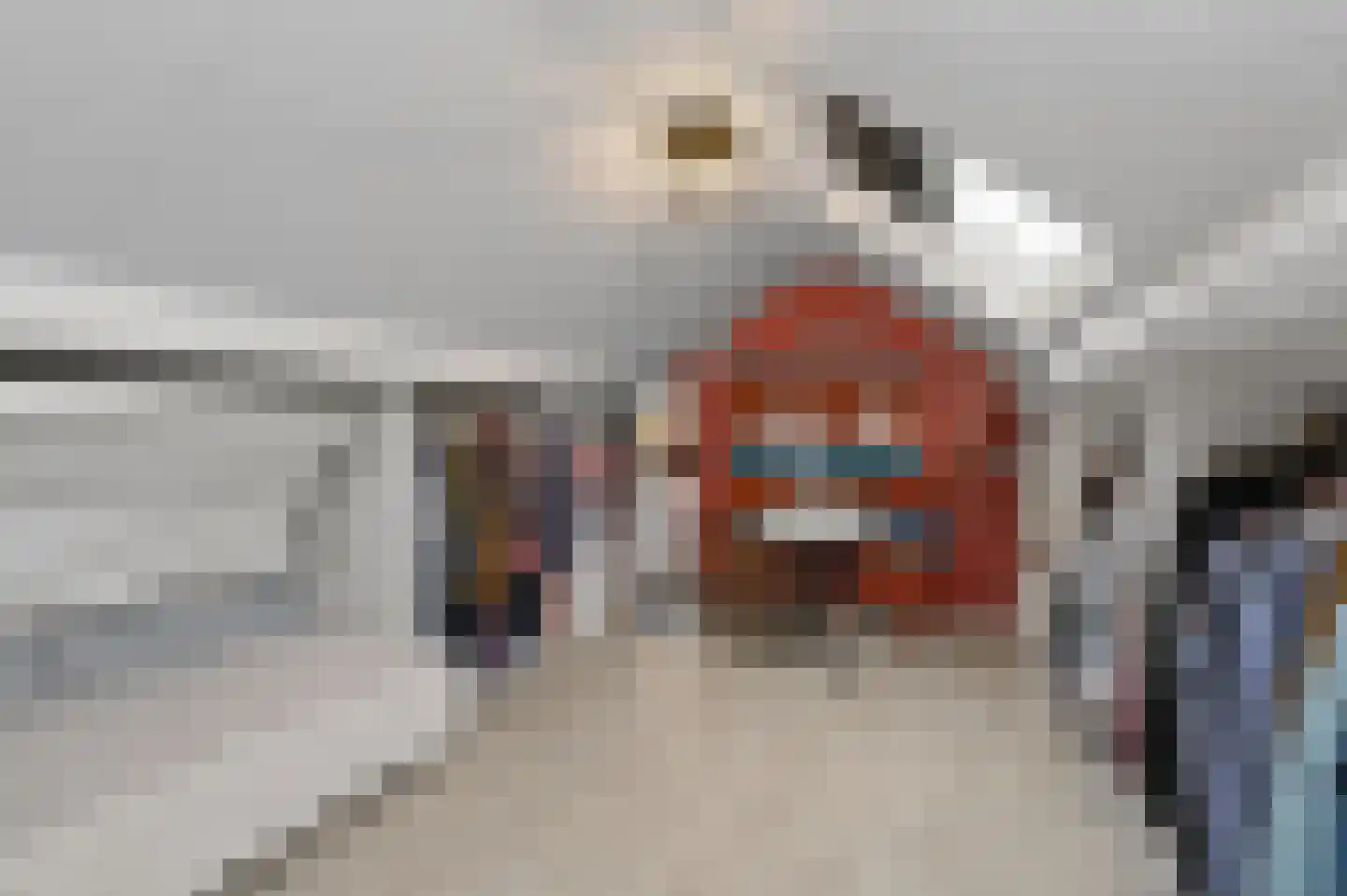 Volmolenweg 60 Eerbeek thumbnail 21