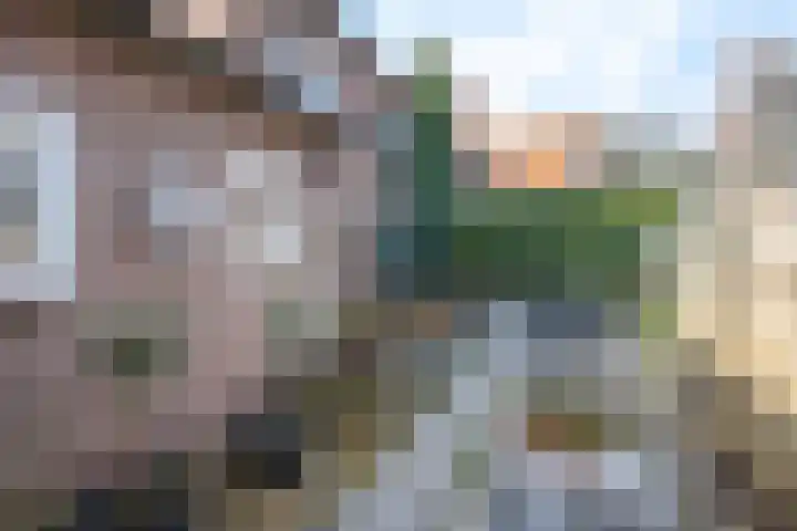 Volmolenweg 60 Eerbeek thumbnail 23