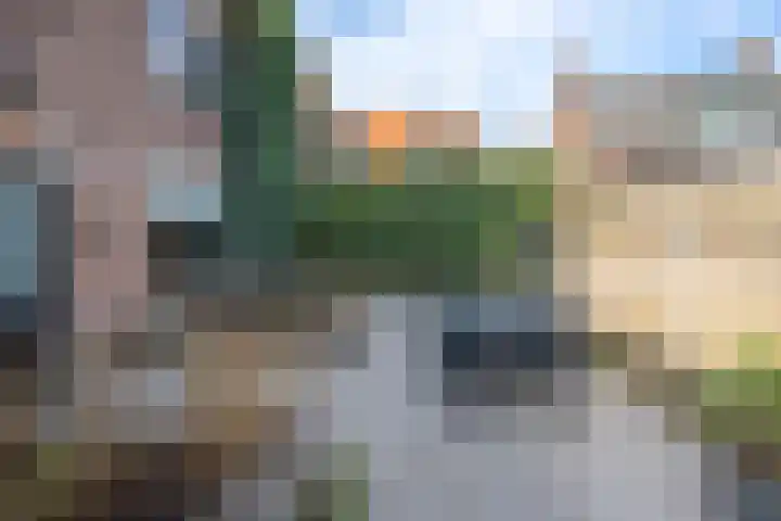 Volmolenweg 60 Eerbeek thumbnail 24