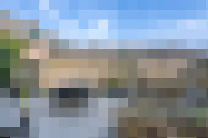 Volmolenweg 60 Eerbeek thumbnail 25